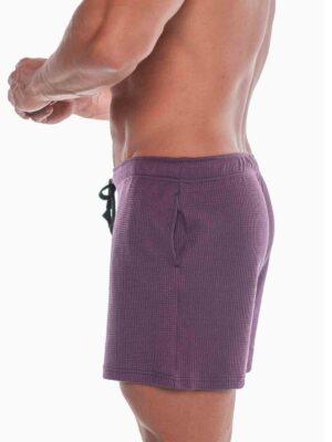 FK SPORT SWINGER SHORTS-NEW COLOR!<span> - </span>Eggplant, L