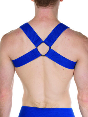 FK SPORT CHEVRON HARNESS<span> - </span>ROYAL, L/XL