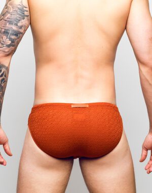 V30 Signet Swim Brief<span> - </span>Carmine, M