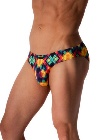 2-12961 M2577 HIP BRIEF