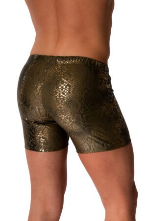 2-12974 M2579 Beach HIP BOXER<span> - </span>Olive/Gold, S
