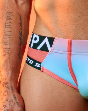 SPR Performance Brief - Gradient<span> - </span>RAINBOW, S