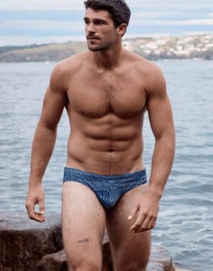 V10 Naiad Navy Brief