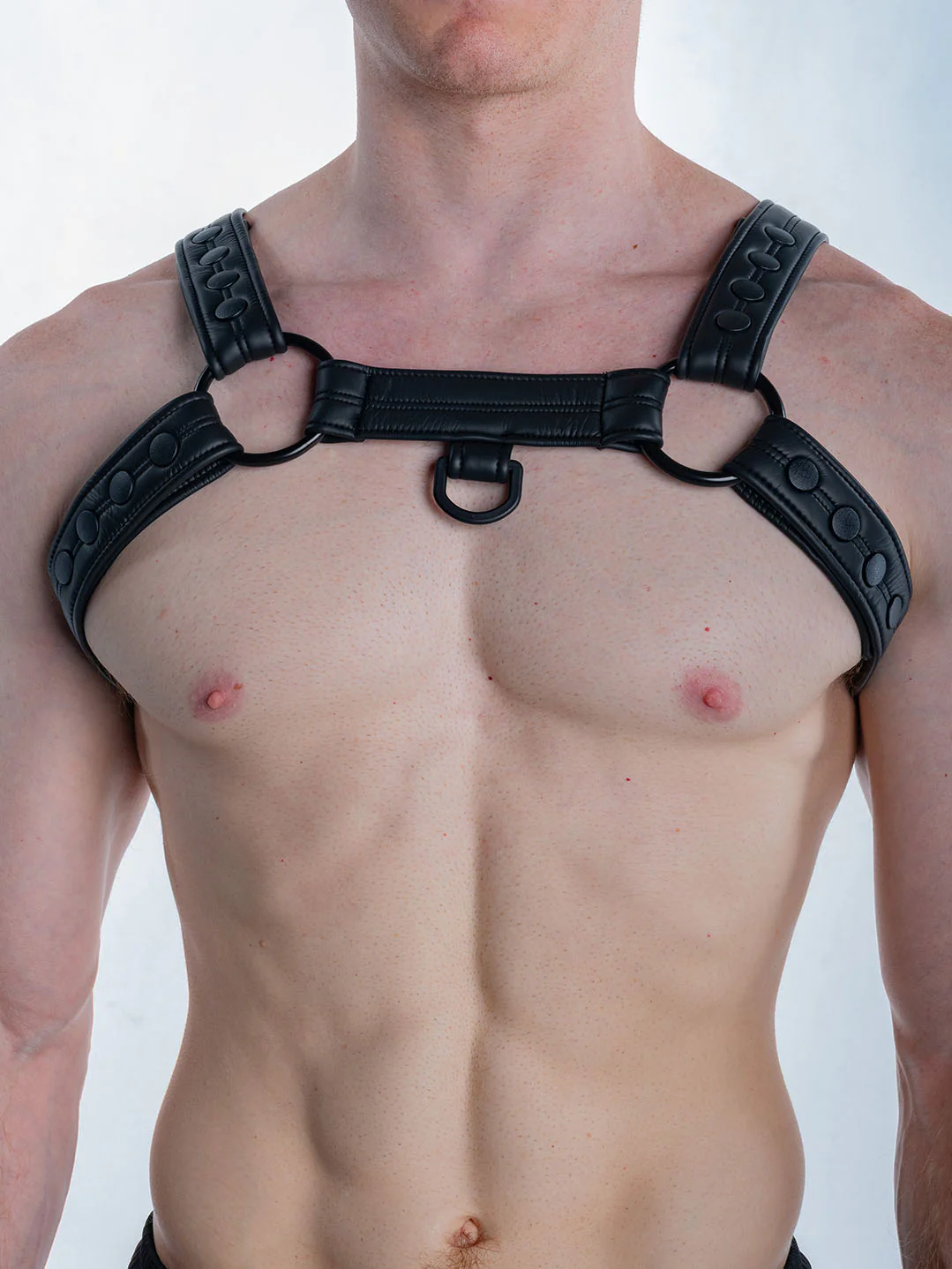 FK SPORT Neoprene Bulldog Harness - Image 4