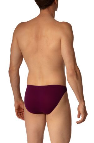 RED 2656 1-10016 Brazilbrief<span> - </span>BURGUNDY, S