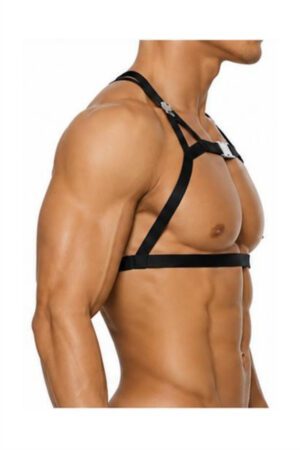 PLUTO Chest Harness<span> - </span>Black, L