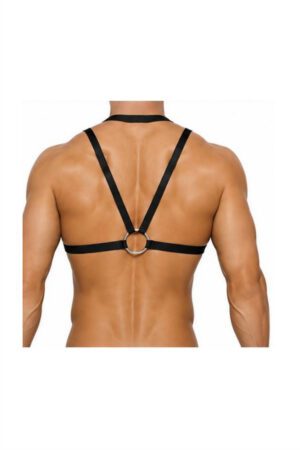 PLUTO Chest Harness<span> - </span>Black, S