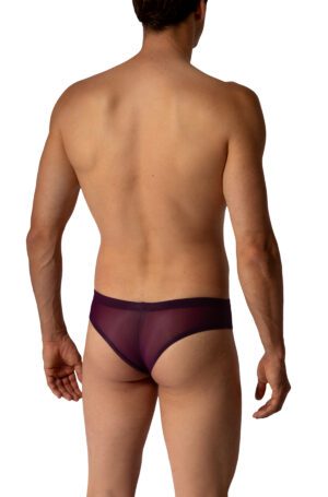 M101 2-06195-Cheeky Brief-Violet