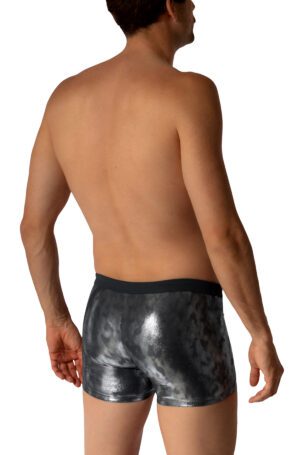 M2681 2-13134 BEACH Hip Boxer<span> - </span>SILVER, M